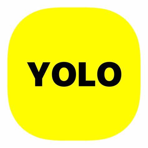 YOLO Detector Icon